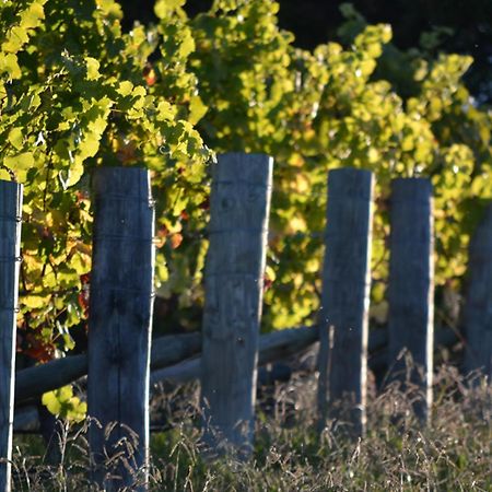 Pine Hill Lodge In Vineyard Mapua Екстер'єр фото