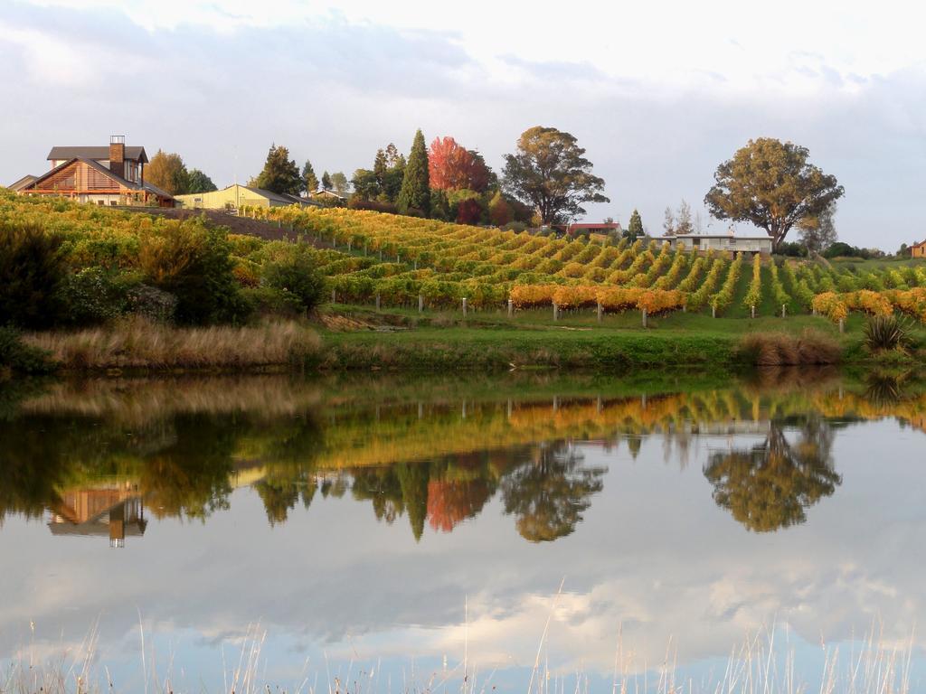 Pine Hill Lodge In Vineyard Mapua Екстер'єр фото