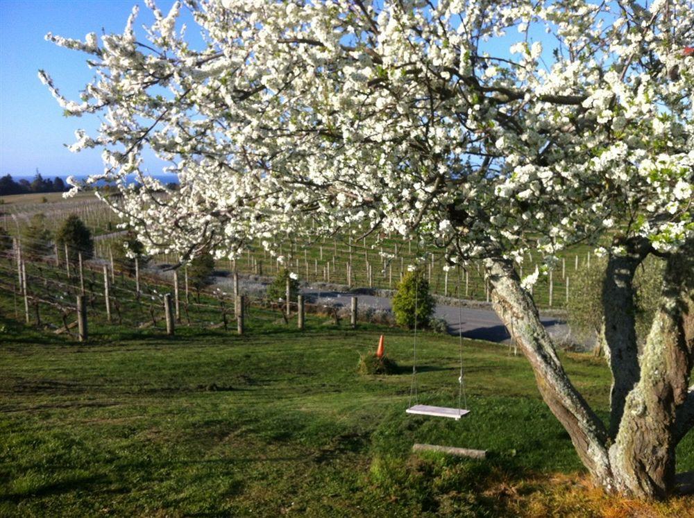Pine Hill Lodge In Vineyard Mapua Екстер'єр фото